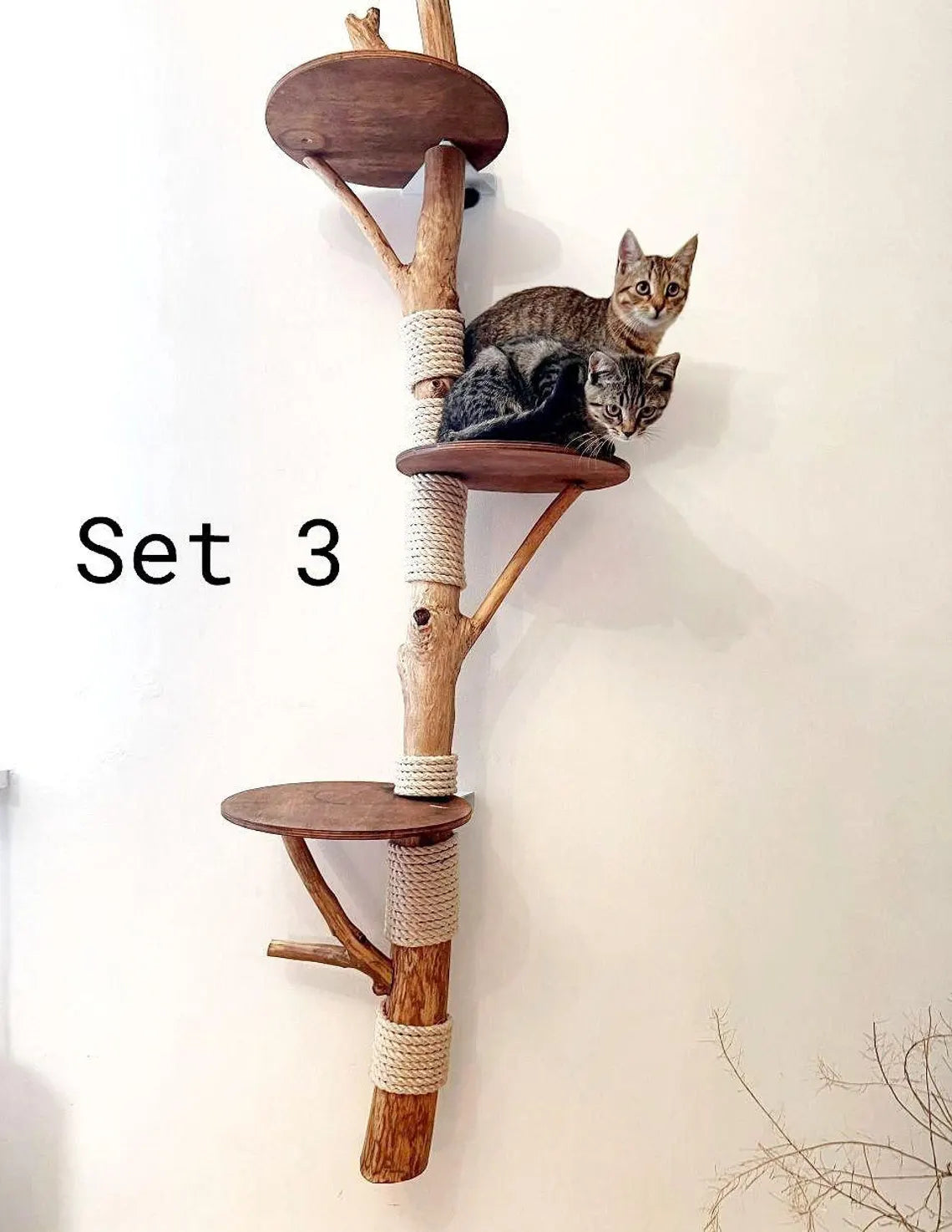 Floating Wall Cat Tree with real branch and shelves