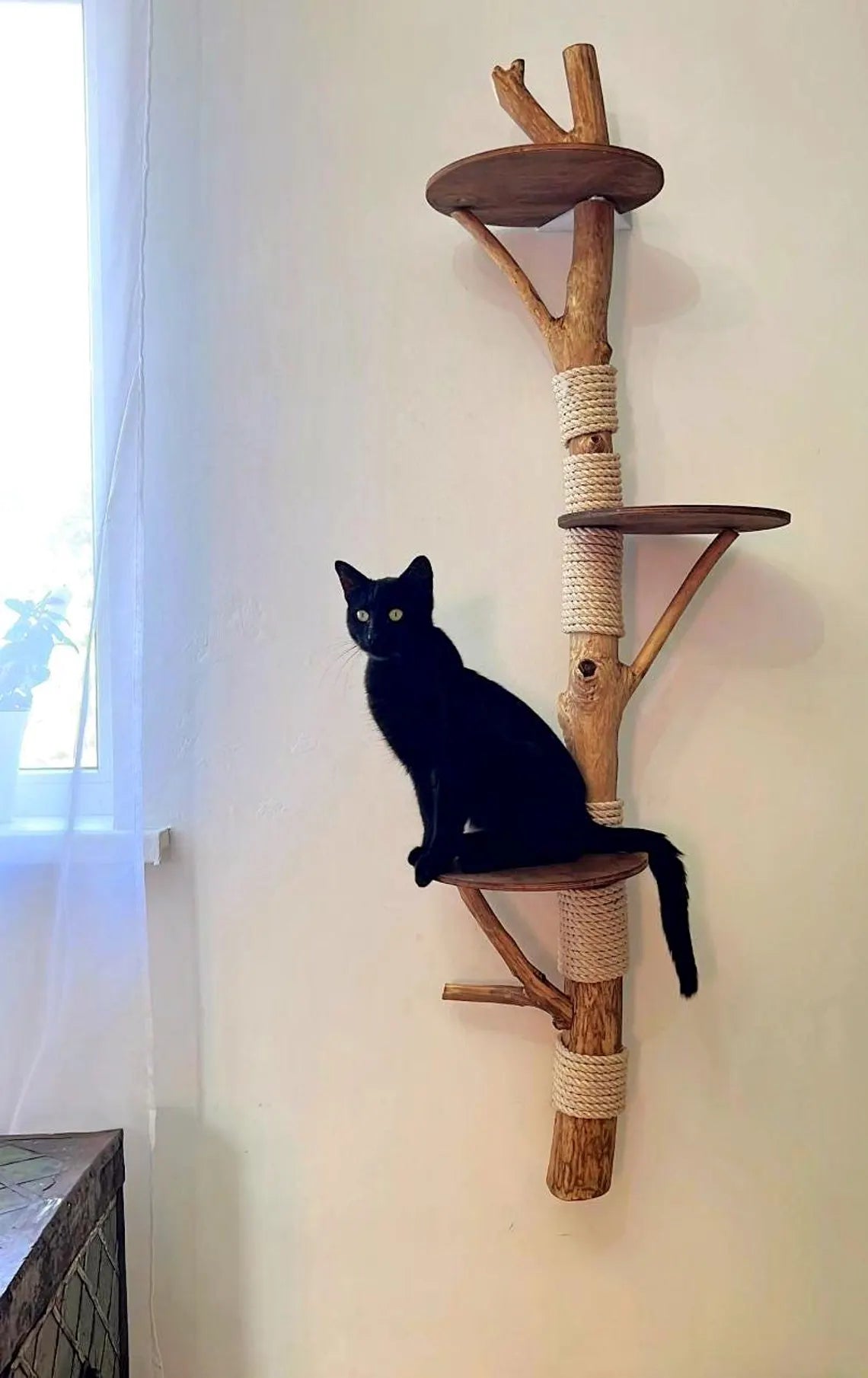 Floating Wall Cat Tree with real branch and shelves