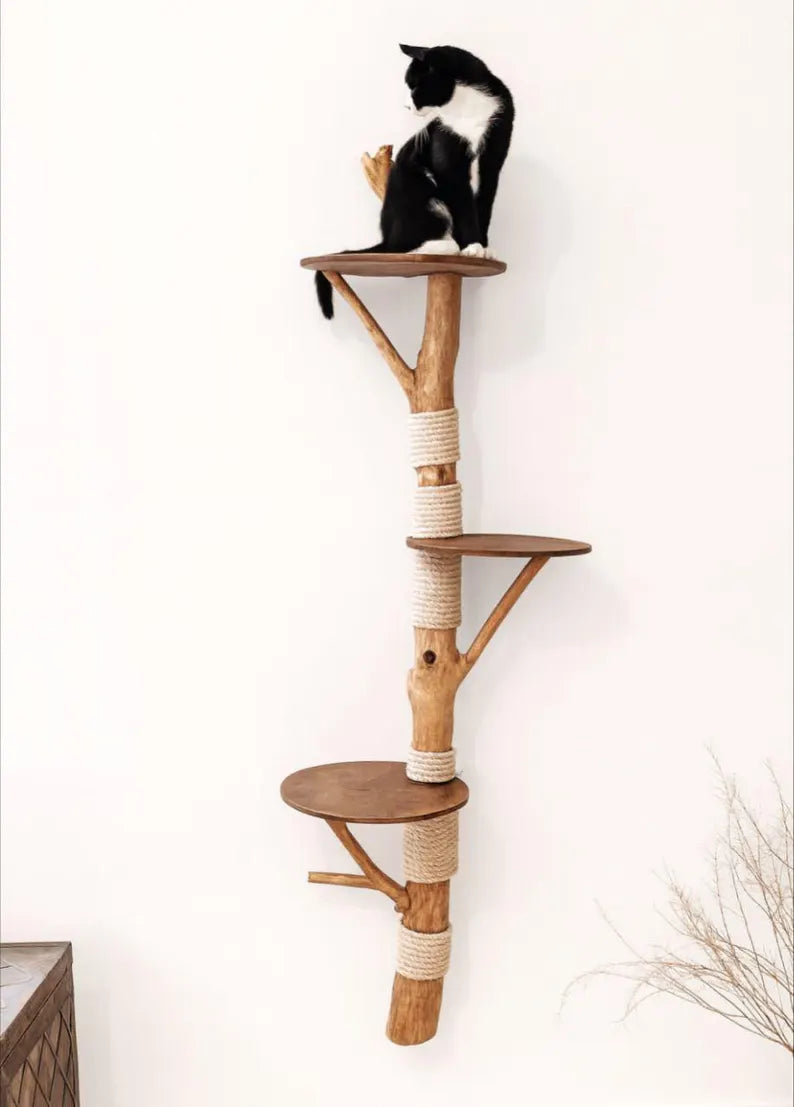Floating Wall Cat Tree with real branch and shelves